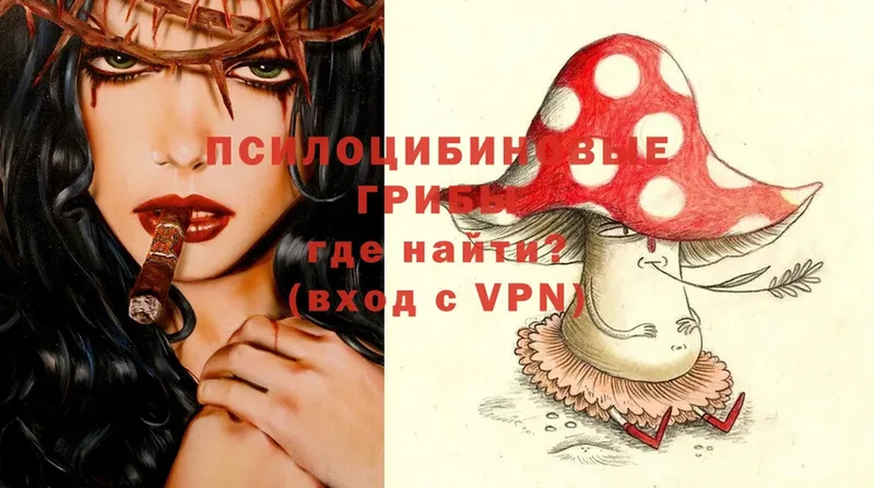 где найти наркотики  Николаевск-на-Амуре  Псилоцибиновые грибы Magic Shrooms 